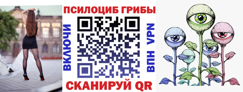 omg вход  Киселёвск  Псилоцибиновые грибы GOLDEN TEACHER 