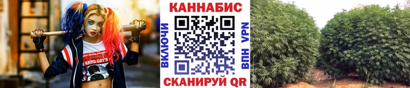 ОМГ ОМГ ссылки  Киселёвск  Бошки Шишки конопля 